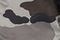 Tonal Black Camo