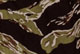 Tiger Camo